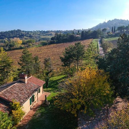 Il Vigneto Cottage Bertinoro Zewnętrze zdjęcie