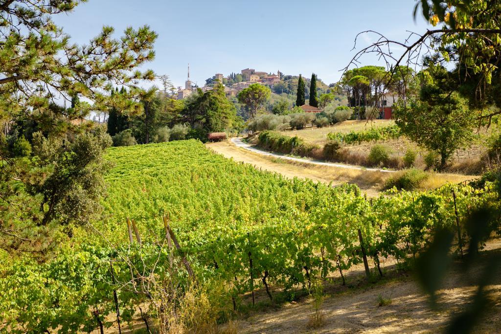 Il Vigneto Cottage Bertinoro Zewnętrze zdjęcie