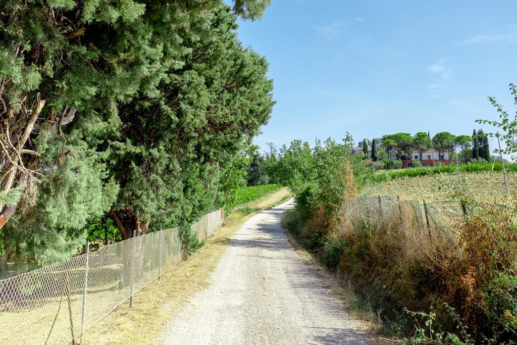 Il Vigneto Cottage Bertinoro Zewnętrze zdjęcie