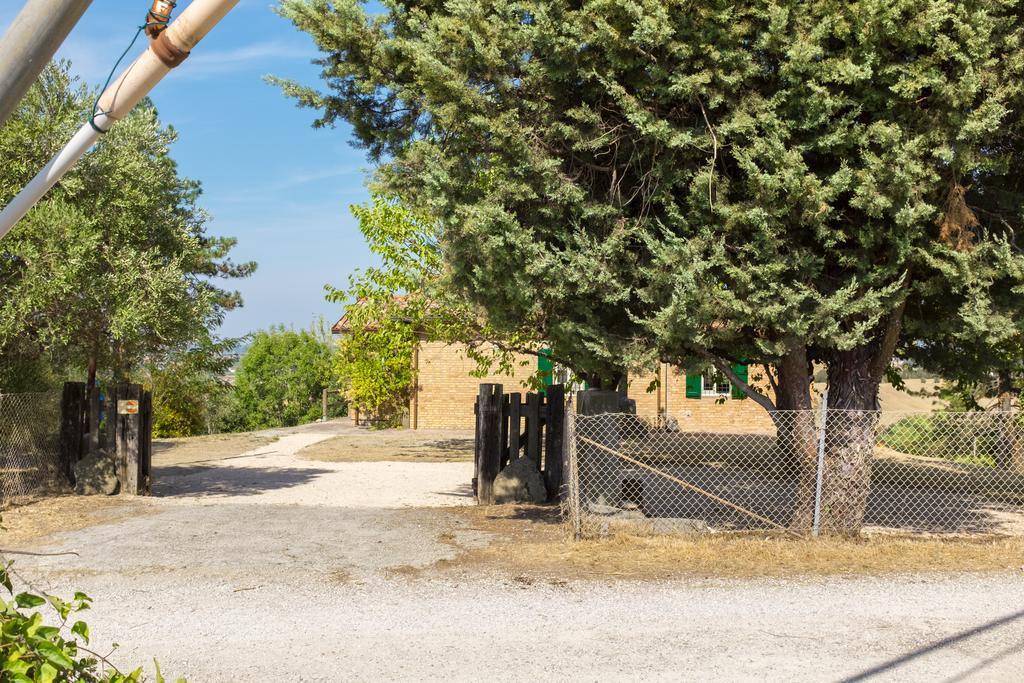 Il Vigneto Cottage Bertinoro Zewnętrze zdjęcie