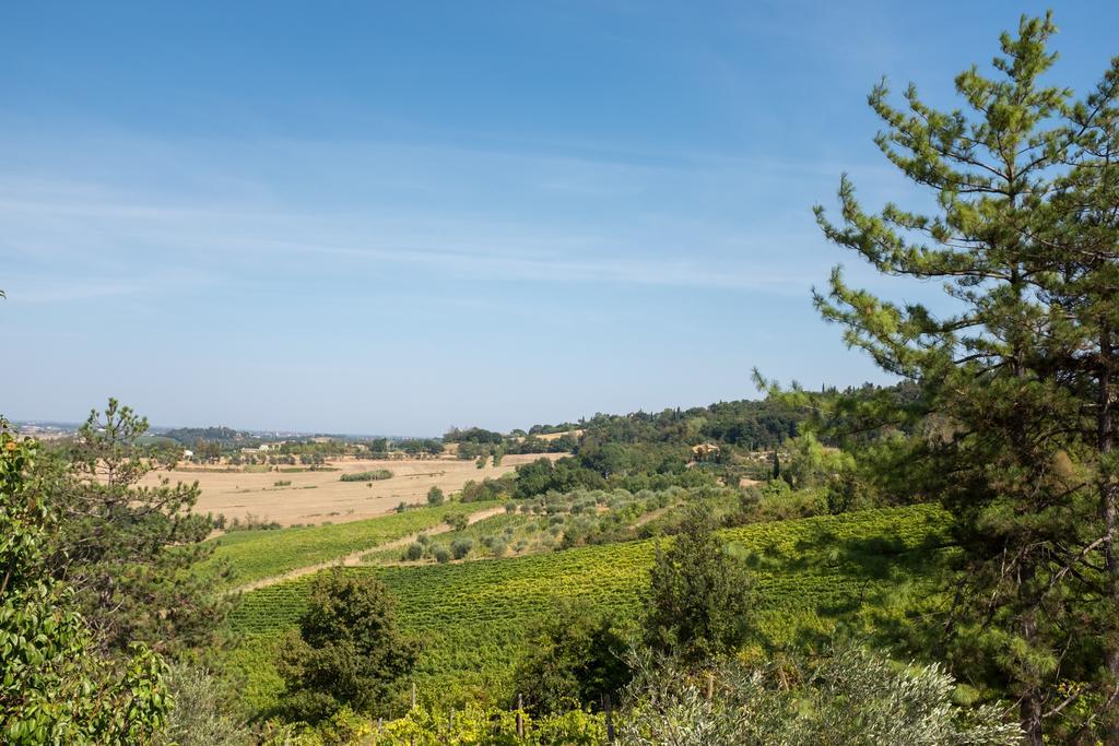 Il Vigneto Cottage Bertinoro Zewnętrze zdjęcie